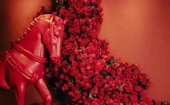 午夜天堂AV久久久噜噜噜